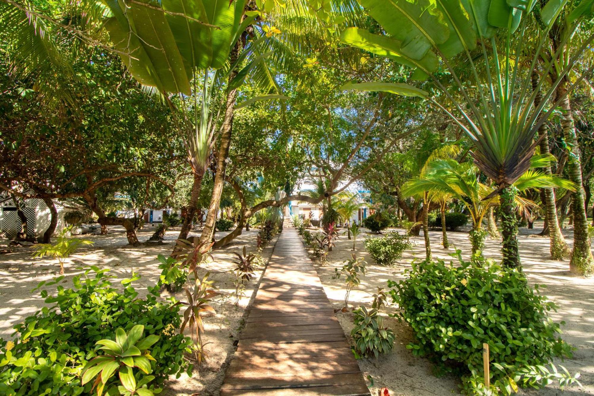 Beachside Villas Gold Standard Certified Placencia Szoba fotó