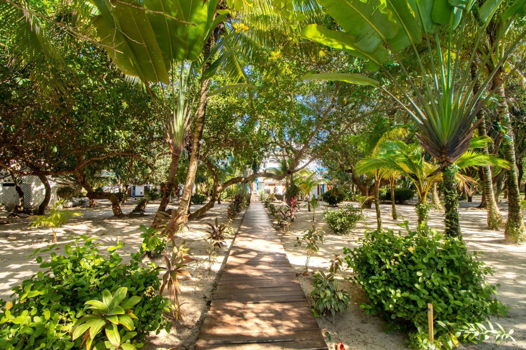 Beachside Villas Gold Standard Certified Placencia Szoba fotó
